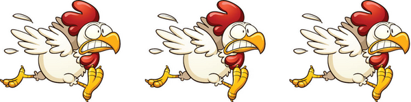 crazychicken.at